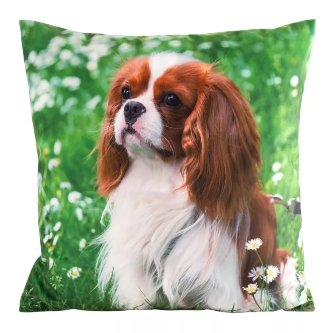 Poszewka na poduszkę 45x45 cm welwetowa zielono, biała zdobiona nadrukiem psa ANIMAL