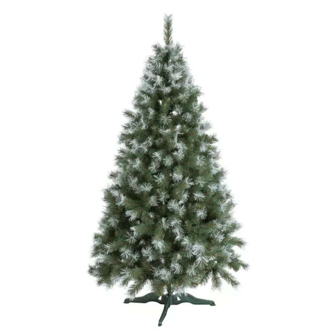 Choinka zielone drzewko ŚWIERK SZRONIONY ZAGĘSZCZANY - kolekcja Świerków Żywieckich