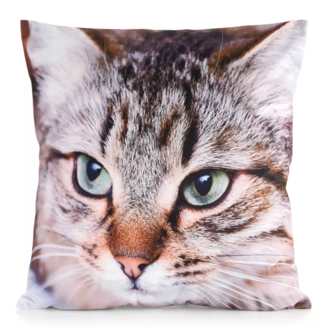 Poszewka na poduszkę 45x45 cm welwetowa biało, brązowa zdobiona nadrukiem uroczego kota ANIMAL