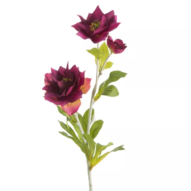 ZAWILEC CHIŃSKI Sztuczny kwiat do salonu