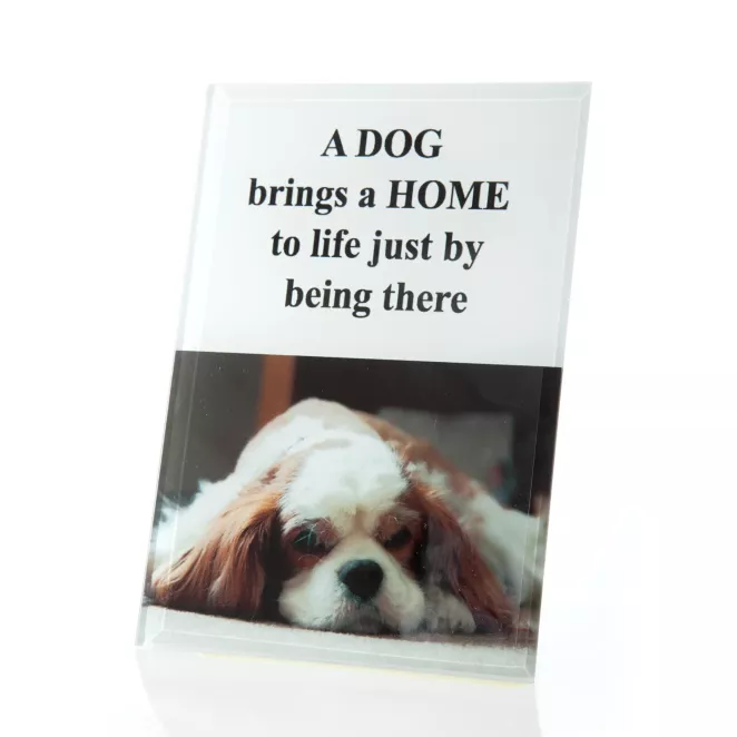 Obrazek dekoracyjny PRINT z napisami