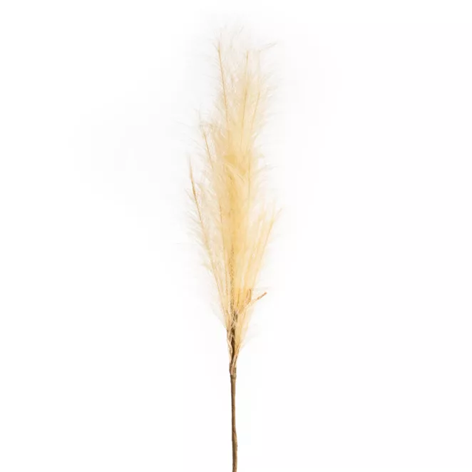 TRAWA PAMPASOWA - OZDOBNY PIÓROPUSZ kwiat sztuczny dekoracyjny
