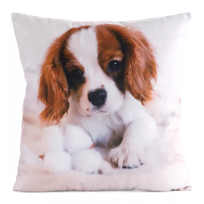 Poszewka na poduszkę 45x45 cm welwetowa biało, brązowa zdobiona nadrukiem psa ANIMAL
