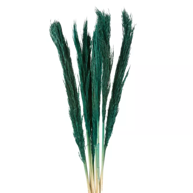 BUKIET SUSZONYCH TRAW BABALA, naturalny susz pęczek 10 szt