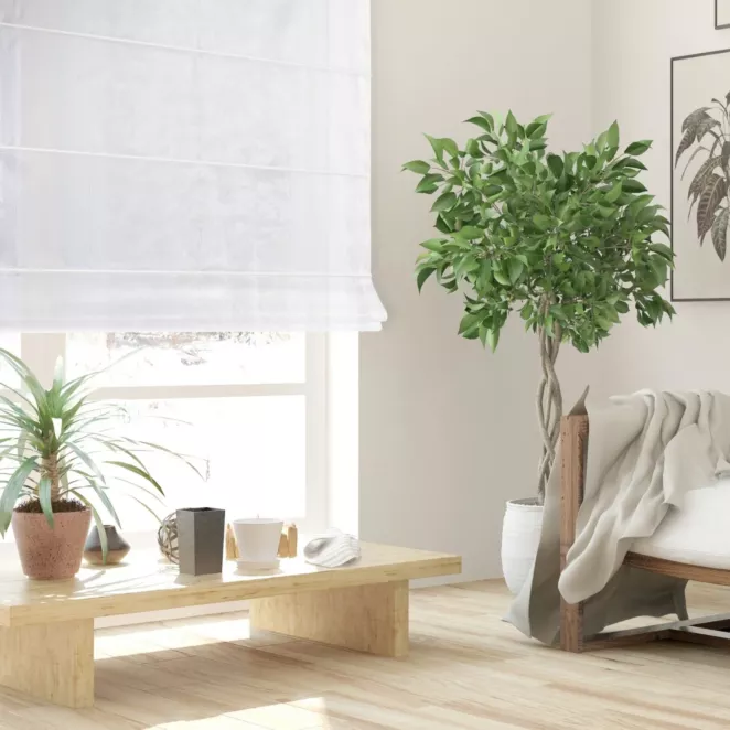 Roleta rzymska biała z gładkiej matowej etaminy o naturalnym splocie