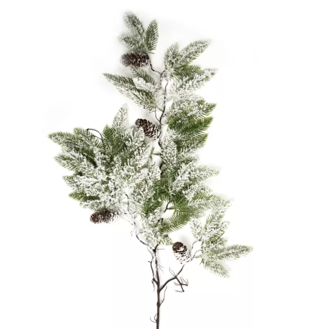 Zimowa gałązka ośnieżona z szyszkami