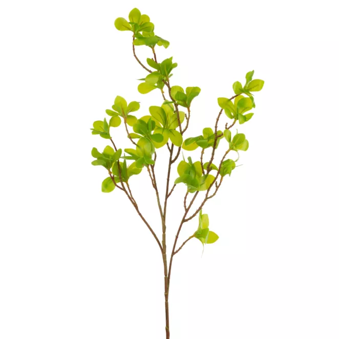 Gałązka o świeżych zielonych liściach, kwiat sztuczny dekoracyjny