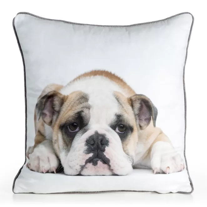 Poszewka na poduszkę 45x45 cm welwetowa biała, jasnoniebieska z motywem psa ANIMAL 81