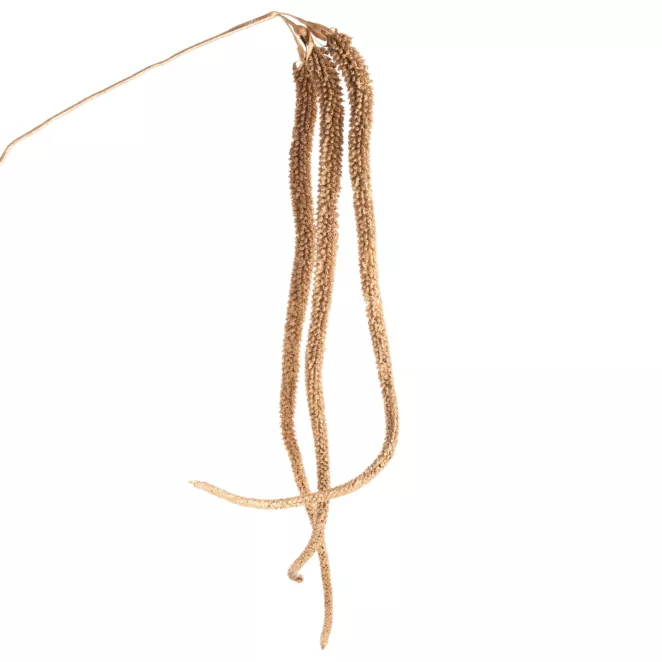 Zimowa gałązka w subtelnie lśniącym złotym kolorze