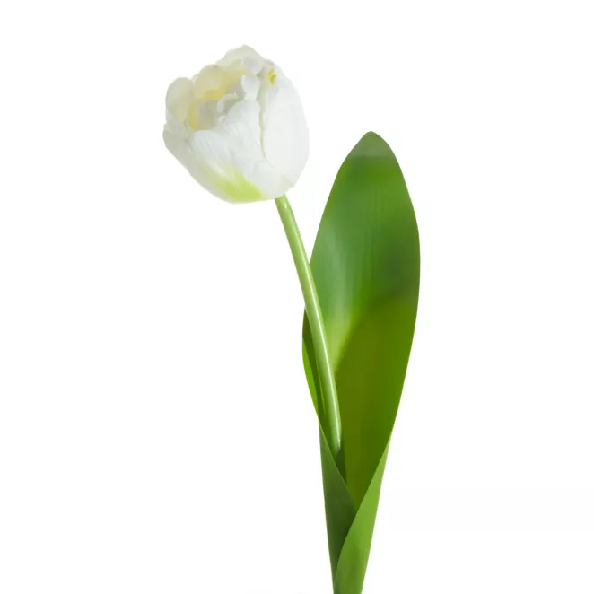 TULIPAN  sztuczny kwiat do salonu