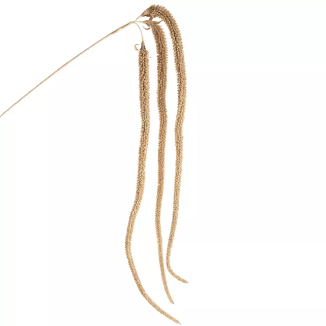 Zimowa gałązka w subtelnie lśniącym złotym kolorze