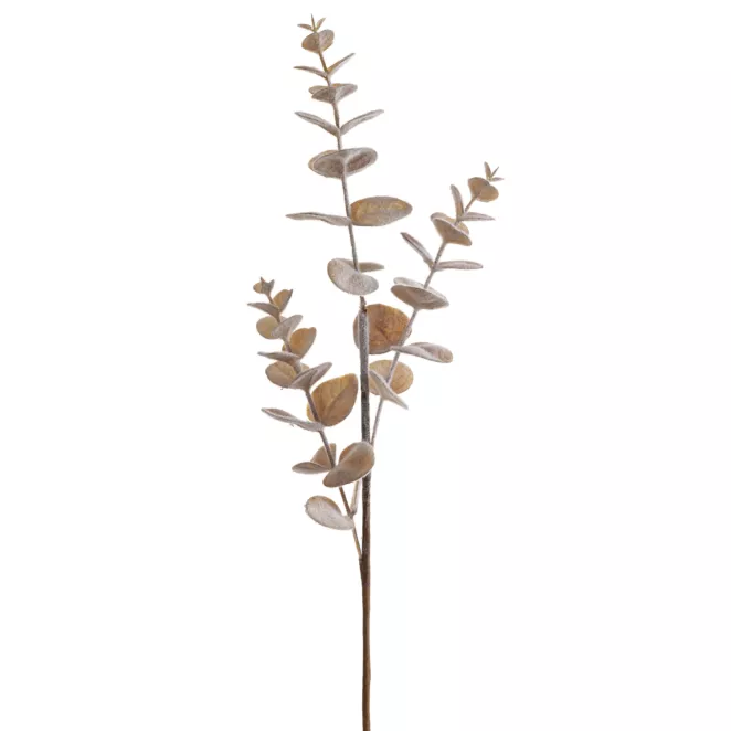 Zimowa gałązka z mrożonymi listeczkami