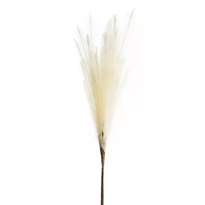 TRAWA PAMPASOWA - OZDOBNY PIÓROPUSZ kwiat sztuczny dekoracyjny