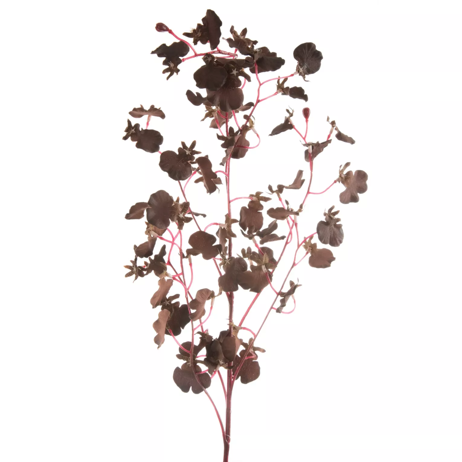 Kwiat sztuczny brązowy 80 cm