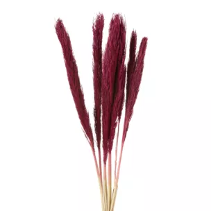 BUKIET SUSZONYCH TRAW BABALA, naturalny susz pęczek 10 szt