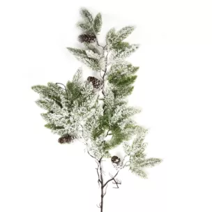 Zimowa gałązka ośnieżona z szyszkami