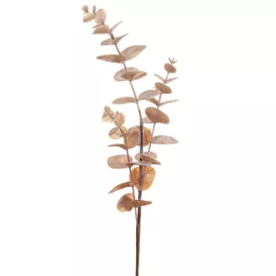 Zimowa gałązka z mrożonymi listeczkami