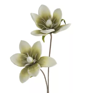 Kwiat sztuczny magnolii zielono, kremowy 70 cm