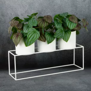 Metalowe osłonki na doniczki na stojaku