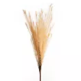 TRAWA PAMPASOWA - OZDOBNY PIÓROPUSZ kwiat sztuczny dekoracyjny