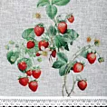 Zazdrostka biało, zielona z etaminy zdobiona nadrukiem truskawek i koronką 60x150 cm KSENIA