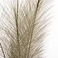 TRAWA PAMPASOWA - OZDOBNY PIÓROPUSZ kwiat sztuczny dekoracyjny