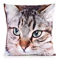 Poszewka na poduszkę 45x45 cm welwetowa biało, brązowa zdobiona nadrukiem uroczego kota ANIMAL