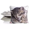 Poszewka na poduszkę 45x45 cm welwetowa biało, ciemnobeżowa z motywem kota ANIMAL 82