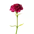GOŹDZIK sztuczny kwiat do salonu