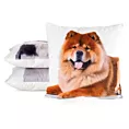 Poszewka na poduszkę 45x45 cm welwetowa biało, jasnobrązowa zdobiona nadrukiem psa ANIMAL