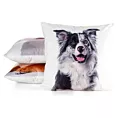 Poszewka na poduszkę 45x45 cm welwetowa biało, czarna zdobiona nadrukiem psa ANIMAL