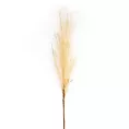TRAWA PAMPASOWA - OZDOBNY PIÓROPUSZ kwiat sztuczny dekoracyjny