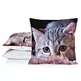 Poszewka na poduszkę 45x45 cm welwetowa szaro, popielata zdobiona nadrukiem uroczego kota ANIMAL