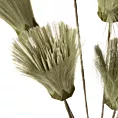 TRAWA PAMPASOWA - OZDOBNY PIÓROPUSZ  sztuczny kwiat do salonu