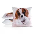 Poszewka na poduszkę 45x45 cm welwetowa biało, brązowa zdobiona nadrukiem psa ANIMAL