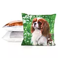 Poszewka na poduszkę 45x45 cm welwetowa zielono, biała zdobiona nadrukiem psa ANIMAL