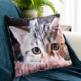 Poszewka na poduszkę 45x45 cm welwetowa szaro, popielata zdobiona nadrukiem uroczego kota ANIMAL