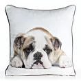 Poszewka na poduszkę 45x45 cm welwetowa biała, jasnoniebieska z motywem psa ANIMAL 81