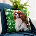 Poszewka na poduszkę 45x45 cm welwetowa zielono, biała zdobiona nadrukiem psa ANIMAL