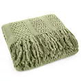 Koc akrylowy 130x170 cm jasnozielony miękki w dotyku z drobnym ażurowym wzorem i frędzlami AKRYL 1 Eurofirany Premium