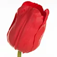 TULIPAN  Sztuczny kwiat do salonu