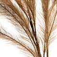 TRAWA PAMPASOWA - OZDOBNY PIÓROPUSZ Sztuczny kwiat do salonu