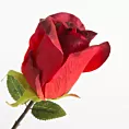 RÓŻA Sztuczny kwiat do salonu