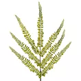 PAPROĆ - gałązka sztuczny kwiat dekoracyjny