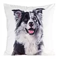 Poszewka na poduszkę 45x45 cm welwetowa biało, czarna zdobiona nadrukiem psa ANIMAL