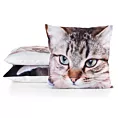 Poszewka na poduszkę 45x45 cm welwetowa biało, brązowa zdobiona nadrukiem uroczego kota ANIMAL