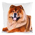 Poszewka na poduszkę 45x45 cm welwetowa biało, jasnobrązowa zdobiona nadrukiem psa ANIMAL