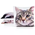 Poszewka na poduszkę 45x45 cm welwetowa biało, beżowa zdobiona nadrukiem uroczego kota ANIMAL