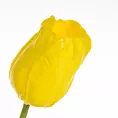 TULIPAN  Sztuczny kwiat do salonu