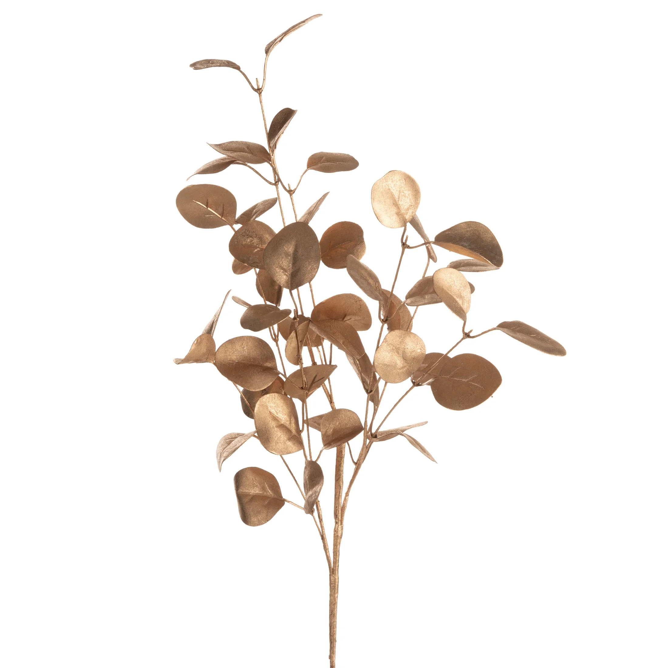 Zimowa gałązka w subtelnie lśniącym złotym kolorze